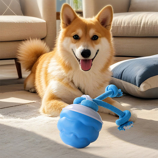 🔥🐶Interaktív, nyugtató játék labda háziállatoknak