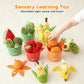 Gyümölcsök és zöldségek érzékszervi plüssjátékok gyerekeknek