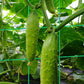 👨‍🌾🌱 A-keretes Kerti Rács Mászó Növények Számára 🍇🥒