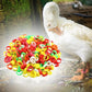 🐓Állítható, rögzíthető baromfi-lábkötők