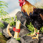 🐓Állítható, rögzíthető baromfi-lábkötők