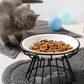 💖 Emelt kerámia macskatál vaskos állvánnyal – Kíméletes nyaknak és könnyen tisztítható 🐱🥣