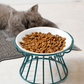 💖 Emelt kerámia macskatál vaskos állvánnyal – Kíméletes nyaknak és könnyen tisztítható 🐱🥣