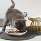 💖 Emelt kerámia macskatál vaskos állvánnyal – Kíméletes nyaknak és könnyen tisztítható 🐱🥣