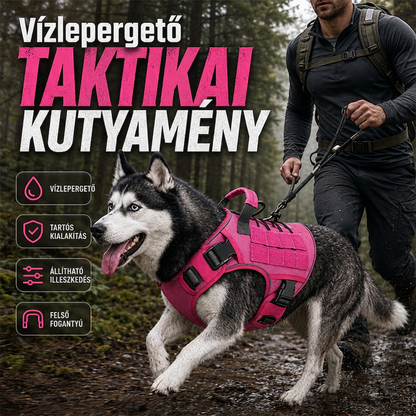 🐕✨Állítható háziállat hordozóheveder – Kényelmes és biztonságos kisállatok szállításához